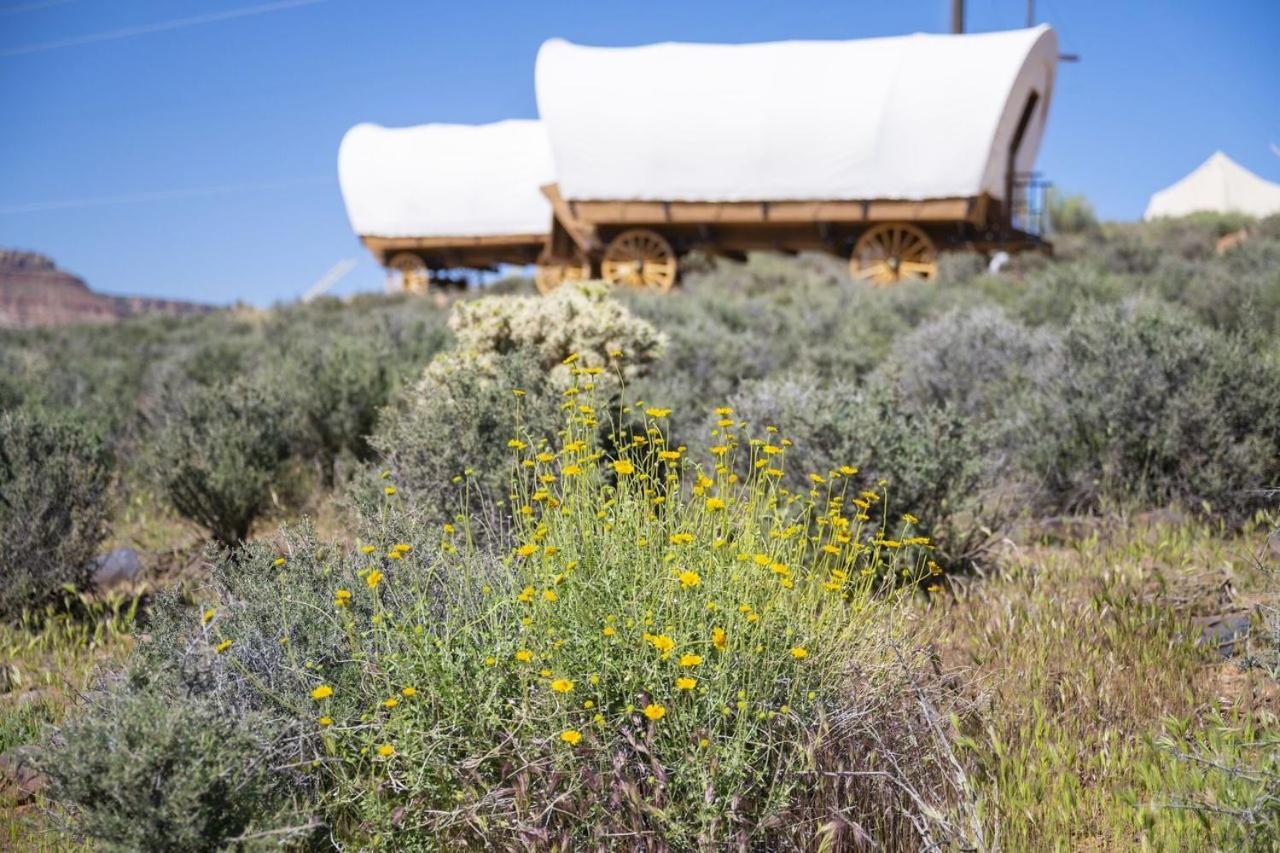 Zion Wildflower Otel Virgin Dış mekan fotoğraf